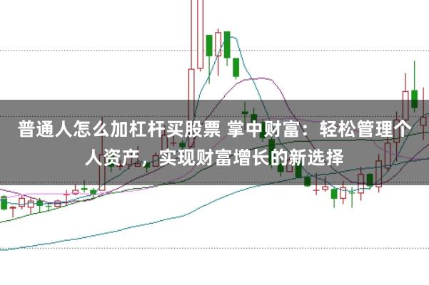 普通人怎么加杠杆买股票 掌中财富：轻松管理个人资产，实现财富增长的新选择