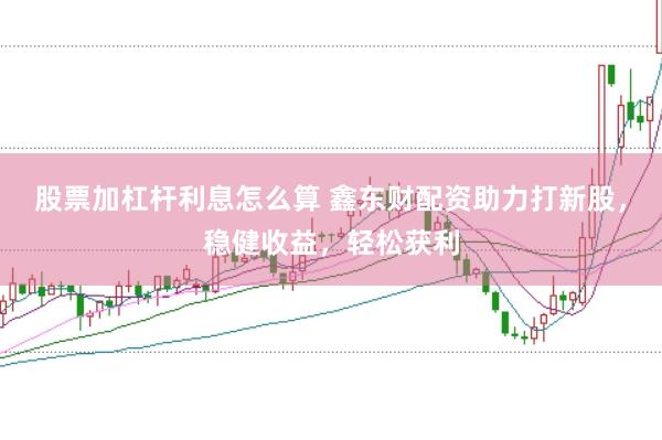 股票加杠杆利息怎么算 鑫东财配资助力打新股，稳健收益，轻松获利